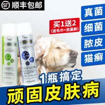 Ai Wei Ching antifungal shampoo Cat Moss pet dog medicated bath skin disease purulent skin disease Ai Weijin cat black chin