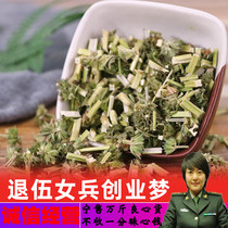 Motherwort fresh natural medicinal herbs 500g motherwort powder conditioning safflower feet with brown sugar ginger