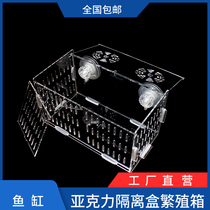 Fish cub artifact fish tank isolation silo breeding artifact Fry isolation box small fish abundance shrimp escape house