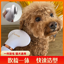 Dog hair dryer hairdressing artifact quick-drying pet blowing one small dog Teddy cat drying comb