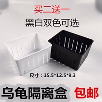 Juvenile turtle isolation box Turtle isolation box incubation box Water turtle egg turtle hair color isolation box Ornamental turtle small turtle breeding box