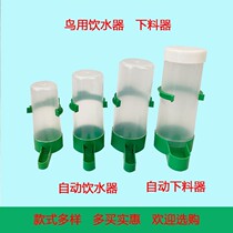Bird automatic drinking fountain feeding feeder parrot supplies bird bowl food box food cup anti-sprinkling kettle bird cage accessories