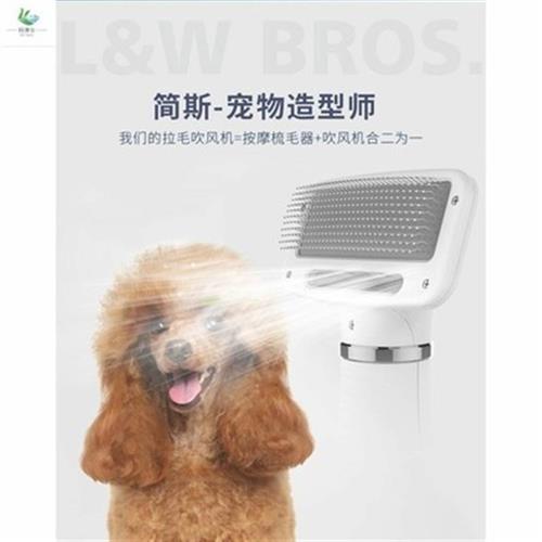 Quick-drying long-haired cat pet shop Economy s-shaped small dog Household pet hair dryer Hair pulling integrated bath