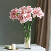 Wild PU feel clivia simulation flower living room desktop silk flower ornaments Home decoration fake flower decoration flower arrangement