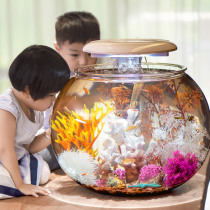 Fish tank living room large spherical medium-sized desktop LED light goldfish tank ecological landscaping aquarium home Fortune