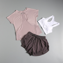 Beginners Xianqi Gym Quick Dry Mesh Sports Set Professional Yoga Clothing Women Summer Thin Temperament Sexy