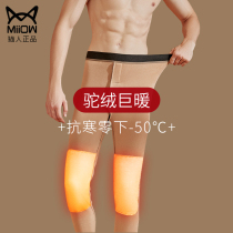 Men's Warm Pants Wear Cotton Pants Winter Plus Cashmere Thickened Tight Wool Pants Line Pants Large Size Northeast Leggings