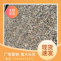 Natural bean stone Home Ground Warm Up Flat Back Fill Special Bean Stone Marsh Filter Bean Stone Washed Stone Washed Stones