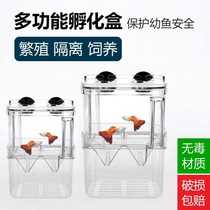 Guppy hatching and breeding box Acrylic fish tank isolation box ovipositor Young fry egg breeding box delivery room