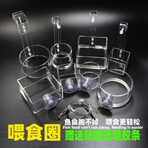 Fish tank floating feeding ring aquarium acrylic transparent fish feeder bucket adhesive hook suction cup feeding fish food Anti-floating f