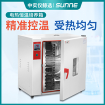 Shangyi electric constant temperature incubator laboratory bacterial microorganism peritoneal dialysis liquid seed germination germination box incubator incubator