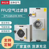 Industrial FFU Air Purifier Efficient Clean Filter Unit Blower Group Dust-free Workshop 100 Level laminar flow