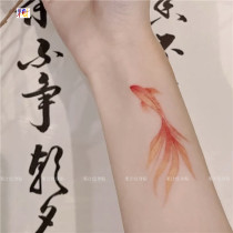 Fruit count tattooed with red goldfish breasted chest thigh bracelet back collarbone waterproof and sweat-proof and realistic lasting