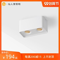 Cactus Lighting Square LED Downlight Spot Light Single and Double Head Lighting Ceiling Light Ceiling Light