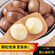 New Hawaiola creamy nuts casual snacks bulk 500g 250g 80g bagged canned