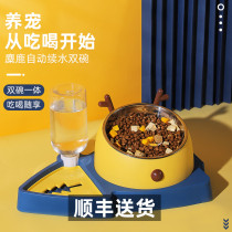 Cat Bowl Protection Cervical Spine Double Bowl Automatic Drinking Water Pet Dog Bowl stainless steel Large-capacity cat food Cat Litter