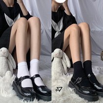 Velvet socks womens tube socks jk black and white Japanese cute socks summer thin lolita loli stockings
