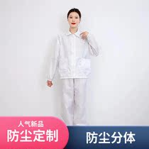 Net Red style anti-dust workwear Anti-static work clothes Suit Split Dust-free Clothing Anti-dust suit Anti-static suit can be set