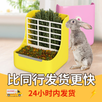 Rabbit Grass Rack Anti-Pickpocketing Trough Feeder Dutch Pig Dragon Cat Feed Bowl Fixed Anti-Turn Eating Basin Two-in-one Food Box