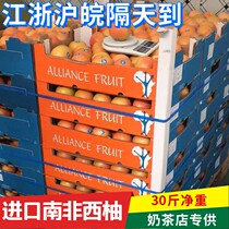 Imported South African grapefruit 30kg 35-50 original box seasonal fresh red pomelo red grapefruit milk tea shop