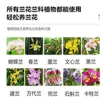 Broccoli Special Fertilizer Nutrient Nutrient Nutrient Nutrient Nutrient Organic Fertilizer Potted Organic Fertilizer Potted Home Langrass Monarch Butternut Lamuran Jianlan