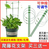 Gardening flower bracket household climbing vine frame indoor potted plant green dill fixed iron ring Garland Rack rose flower pillar