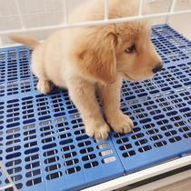 Dog Cage cushion resin pet pad cat cage footpad plastic grid piglet board waterproof moisture-proof and card foot
