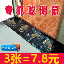 Mouse household medicine Super powerful water mouse sticky mouse board Powerful rodent control magic carpet rat trap artifact Catch big mouse board