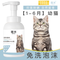 Baby cat Shower Gel dry cleaning foam anti-mite deodorant pet shampoo bath cleaning special supplies 1-12 months beauty short