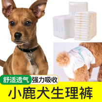 Small Deer Dog Physiological Paper Pee Pants Pee Not Wet Menstrual Mother Dog Kennel Dog Aunt Special Sanitary Female Menstrual Pants