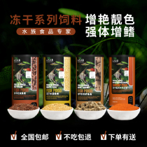 Three small fish tropical fish food freeze-dried plum shrimp shelling plump shrimp Daphnia fish feed small fish food