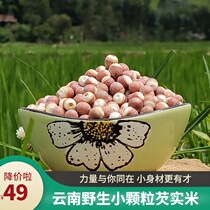 Wild Gorgon rice dry goods 500g chicken head rice non-Zhaoqing Yunnan new goods hand peeling small particles porridge miscellaneous grains