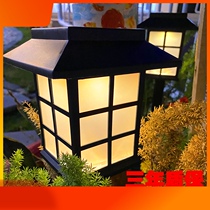 Solar outdoor lawn light Garden garden decoration villa household waterproof night light Grass arrangement floor plug-in light