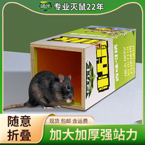 Green leafy mice patch powerful sticky rat board powerful adhesive large mice to step up household mousetrap