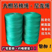 Hanging vine rope Greenhouse hanging seedling rope Shaft clip Vegetable cucumber plastic rope Nylon rope Climbing vine rope Rice hanging vine rope plant