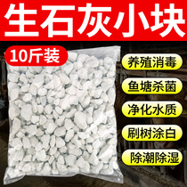 Quicklime block powder breeding disinfection fish pond sterilization and purification of water quality fruit tree whitening moisture dehumidification desiccant