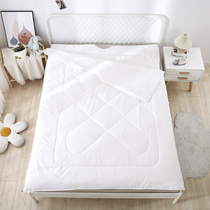 Matching Sleeping Bag Anti Kick Quilt Special Core Spring Autumn Thin Section Thickened All Season Universal Xinjiang Cotton Core Quilt
