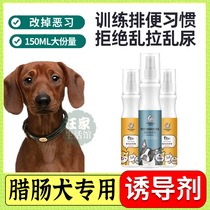 Special outdoor such as toilet dog special outdoor such as toilet pooch Toilet Pinpoint inducing agent to prevent enticing into toilet training defecating fluid puppies