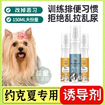 Yorkshire dedicated citation defecation excretion of chaotic urinalpans urinalizing the pooch Toilet Pinpoint Inducers Outdoor