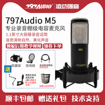 797Audio M5 professional recording vocals dubbing condenser microphone big diaphragm anchor YY Live Broadcast K song microphone