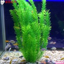 Fish fish pond aquarium water grass ornaments set set fake water lily flowers and grass artificial fish tank landscape floating simulation Lotus