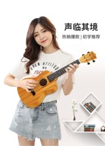 Jukri Riyri entry-level beginner student boy girl boy entrance veneer into the order small guitar 23 inch