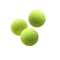 Tennis beginners high elasticity resistance training tennis wear-resistant junior Middle competition special massage pet ball