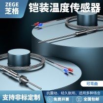 Bendable Pt100 E J T type temperature sensor probe K type armored thermocouple WRNK-191