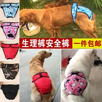 Dog physiological pants Female large and medium-sized dog panties menstrual pants Golden retriever Samoyed Labrador anti-harassment aunt pants