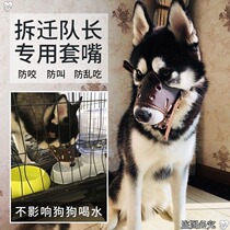 Dog mouth cover Anti-bite anti-barking Husky dog mask Anti-eating Golden retriever Medium-sized large dog cover Pet supplies