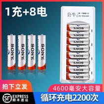 Sony Rechargeable Battery No. 5 Universal Set Toy Remote Control Bubble Machine KTV Microphone No. 5 No. 7