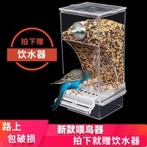 Tiger skin Xuanfeng Parrot bird food box anti-splash parrot automatic feeder large anti-scatter bird feeder