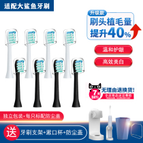 Adapted to mixed Oralshark big shark K117 sonic electric toothbrush head replacement big shark s3 soft hair