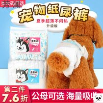 Dog health pants cat diapers rabbit Monkey pet menstrual pants bitch aunt towel Teddy diapers